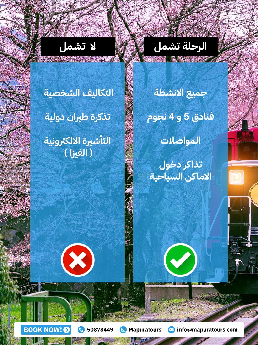 رحلة اليابان – طوكيو وكيوتو وأوساكا - الصورة 6