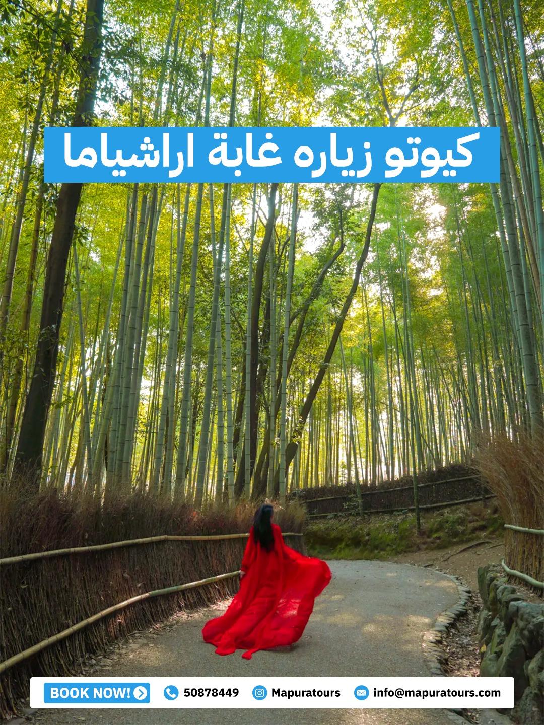 رحلة اليابان – طوكيو وكيوتو وأوساكا - الصورة 4